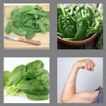cheats-4-pics-1-word-7-letters-spinach-2286897