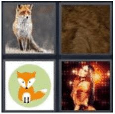 answer-fox-2